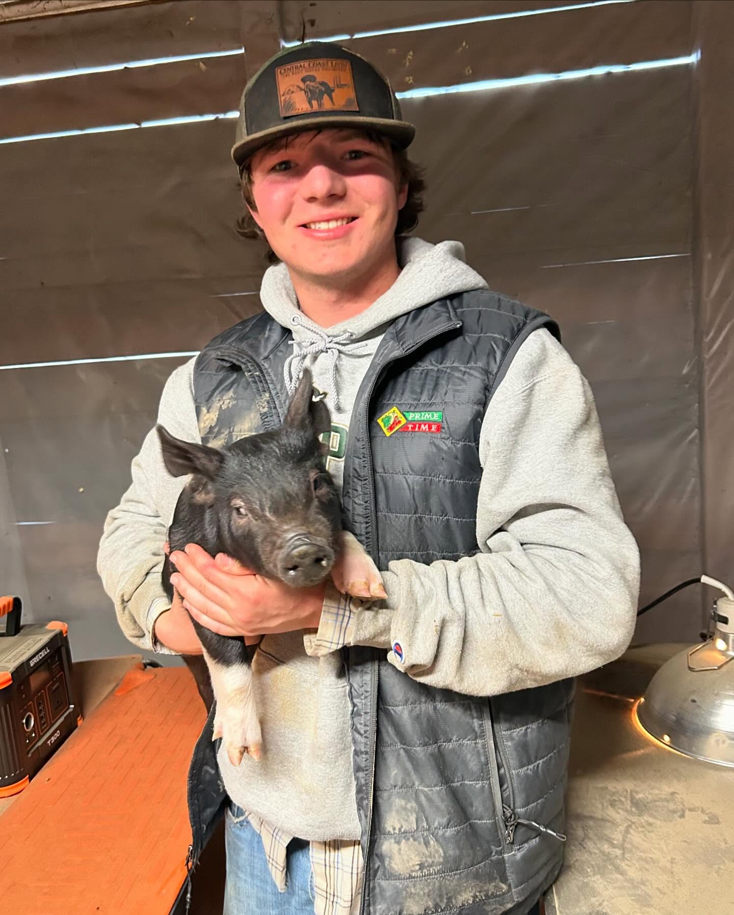 Delivery of agreed work